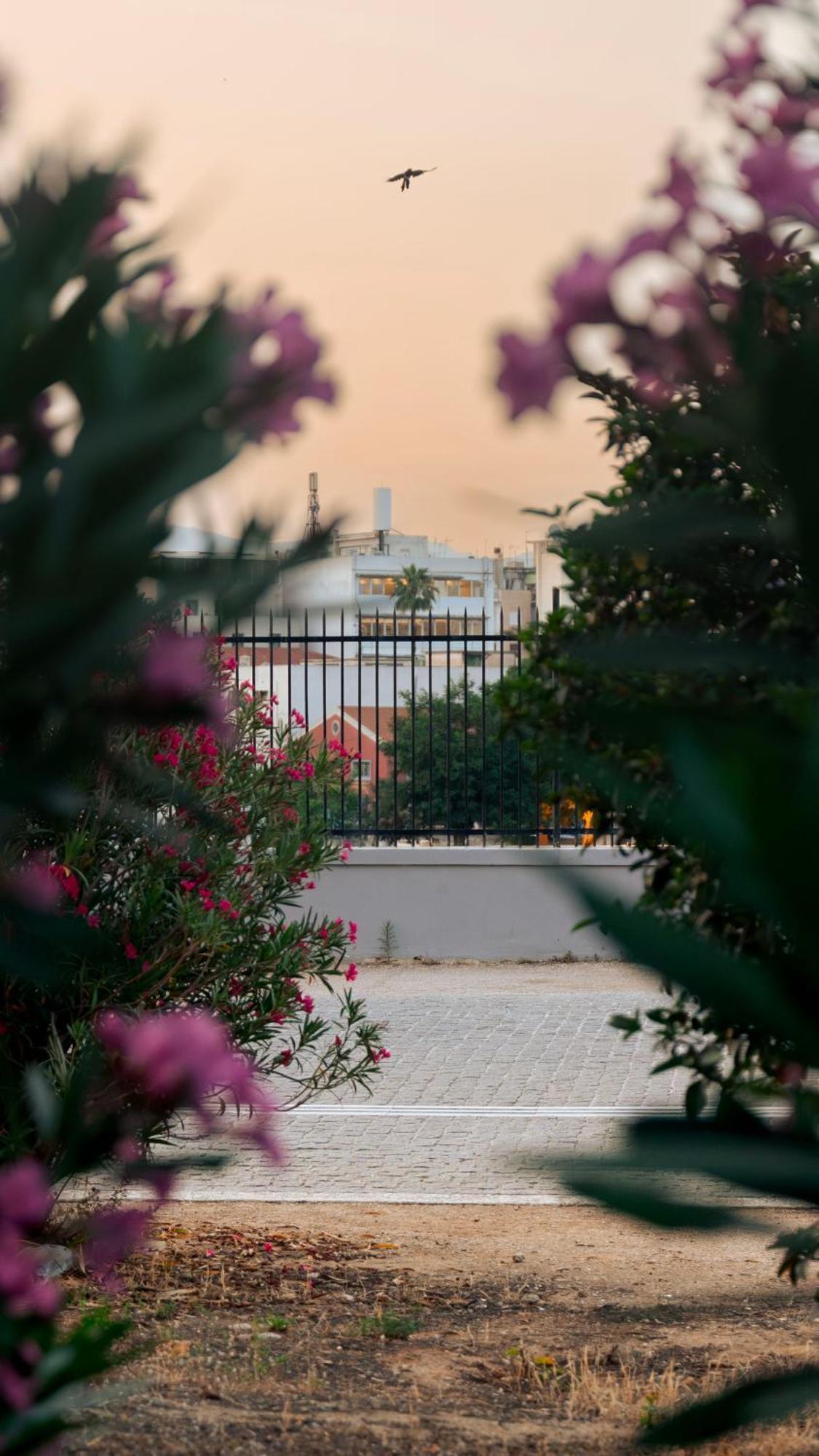 Acropolis View 2Br Apartment アテネ エクステリア 写真